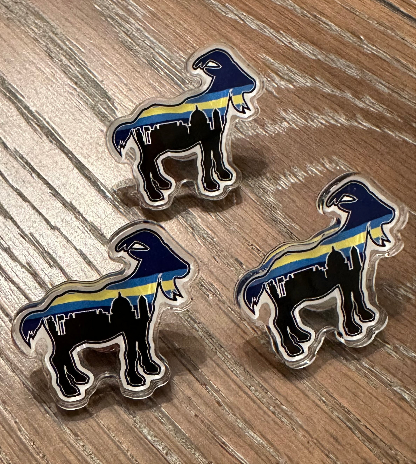 Lapel Pin