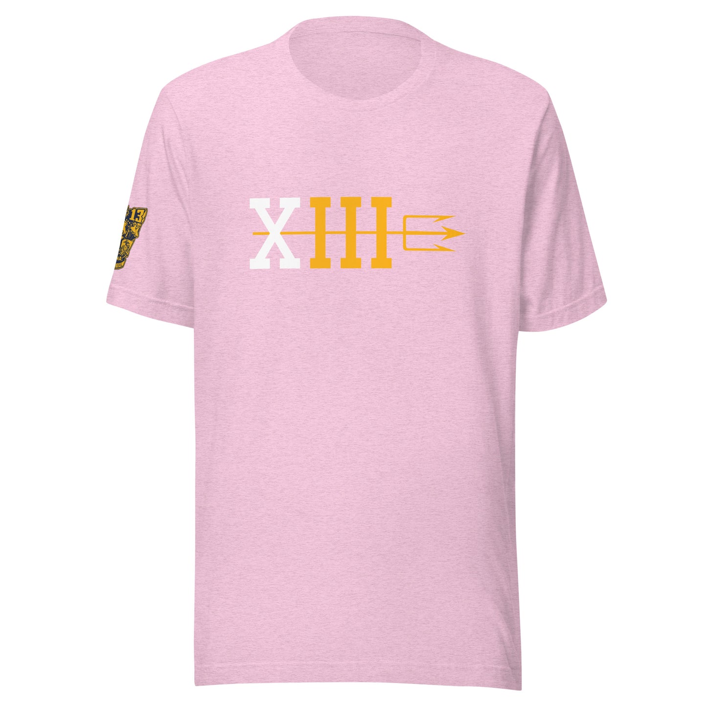 2013 Ten Year Reunion Tee