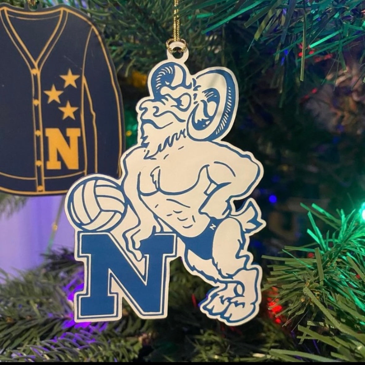 Water Polo Ornaments