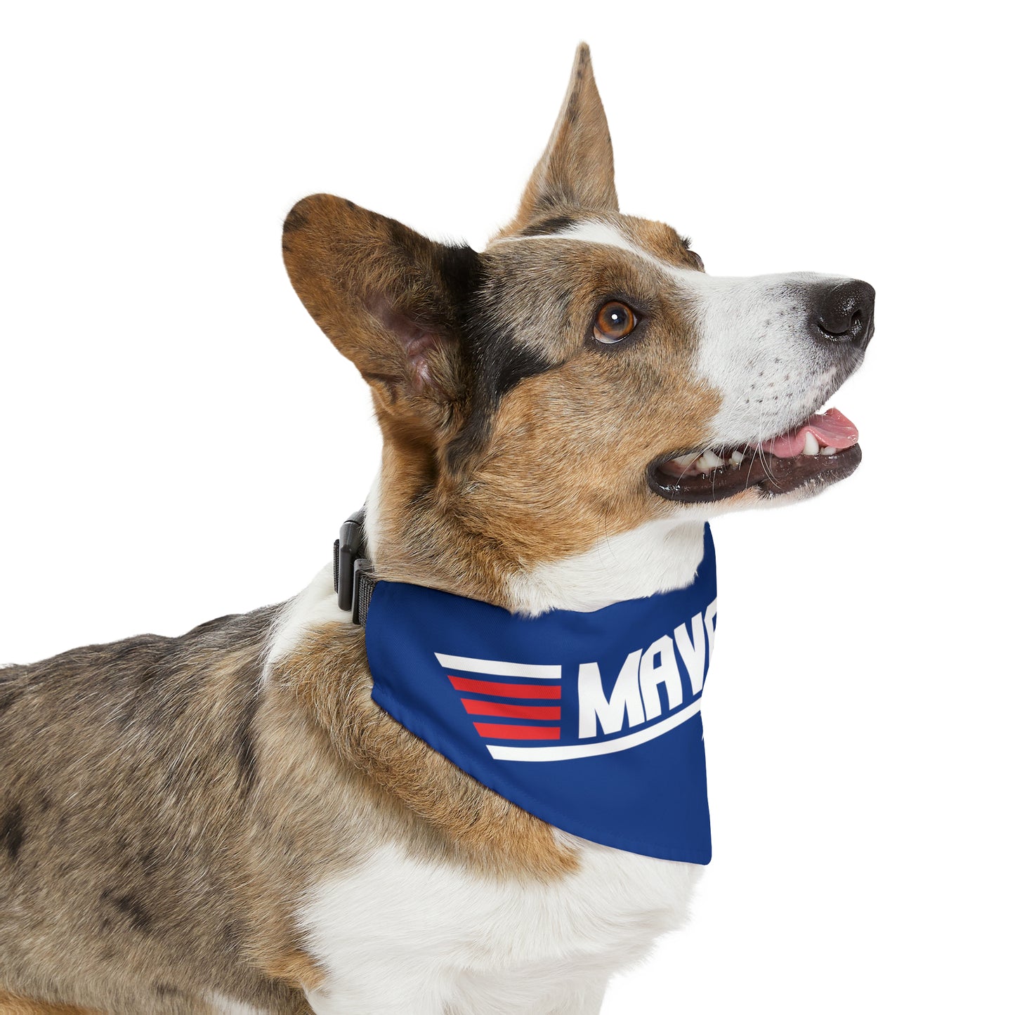 Pet Bandana Collar