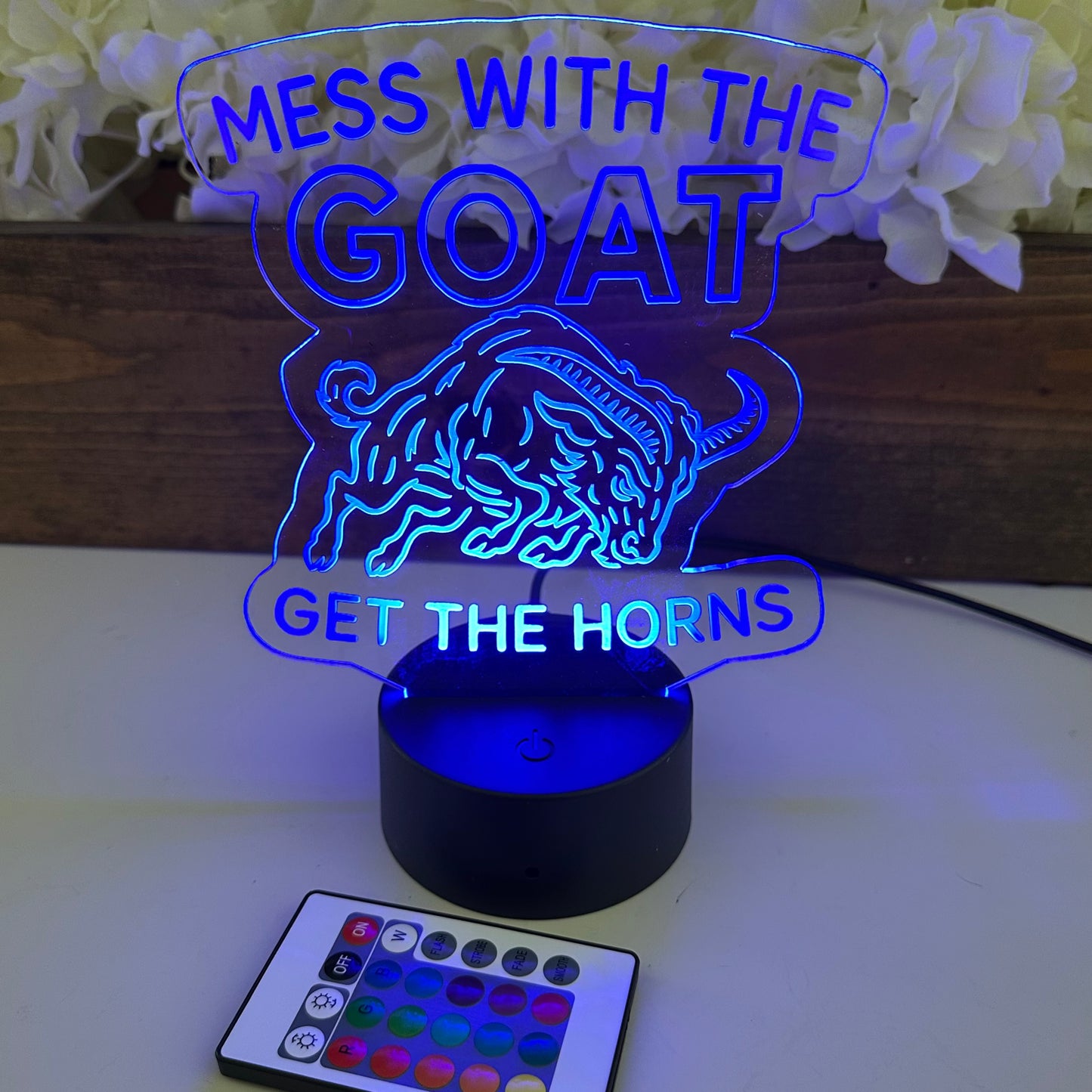LED Sign/Night Light