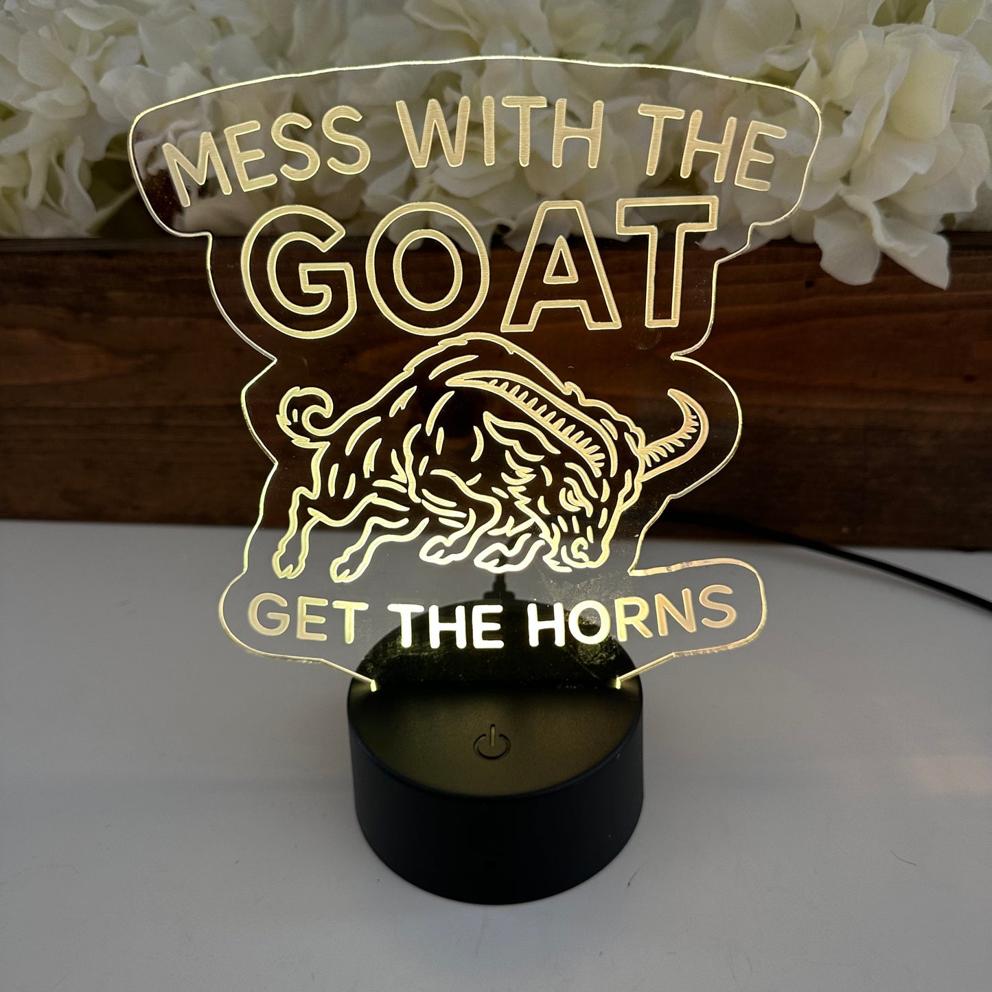 LED Sign/Night Light
