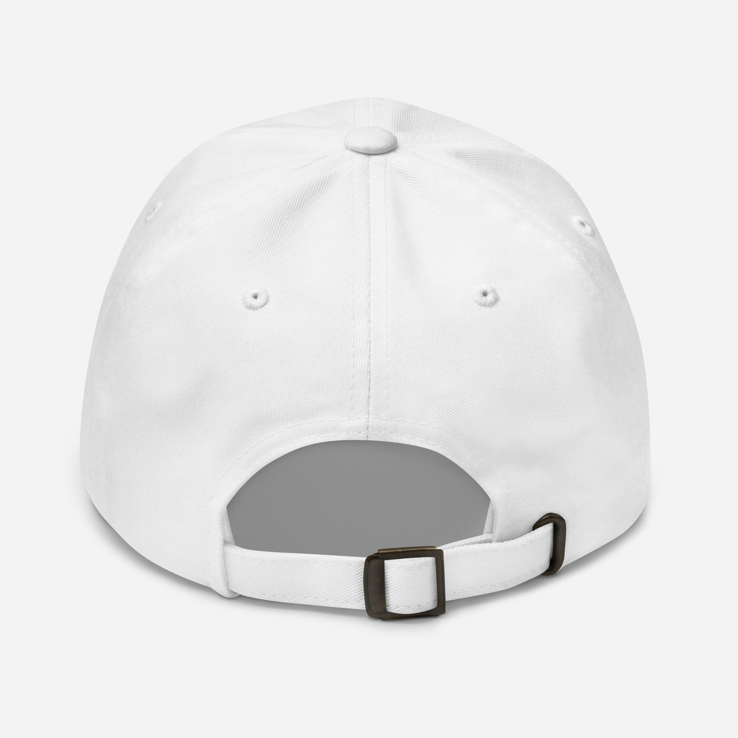Navy RV Baseball Hat